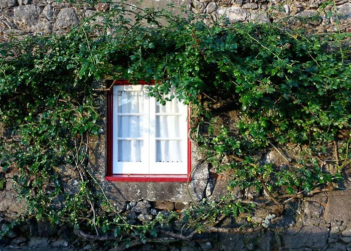 Casa Da Roseira Holiday home