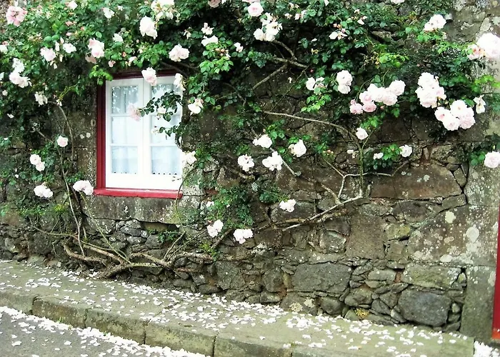 Casa Da Roseira Holiday home Nordeste (Azores)