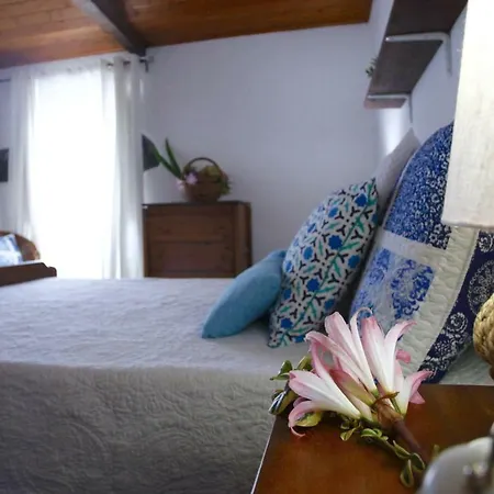 Casa Da Roseira Hébergement de vacances *