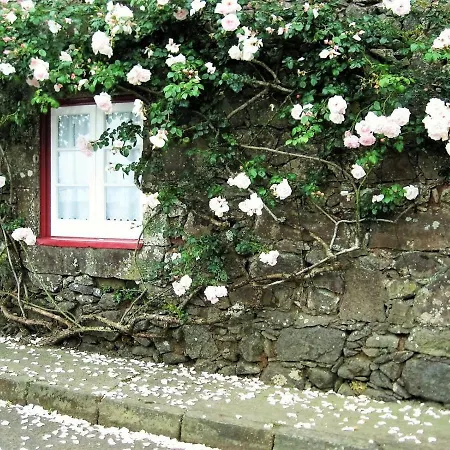 Casa Da Roseira Дом отдыха Нордешти